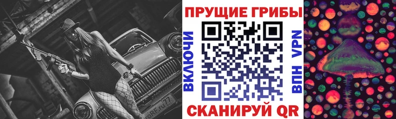 Галлюциногенные грибы Psilocybine cubensis  Великие Луки 