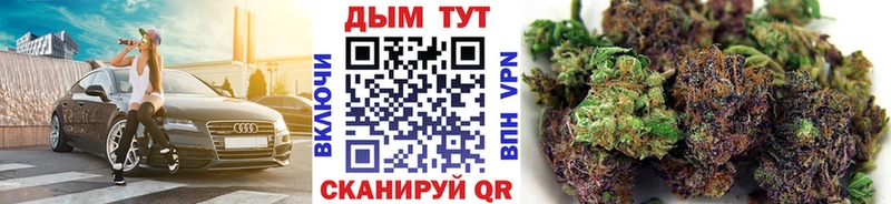 Бошки марихуана THC 21%  закладки  shop какой сайт  Великие Луки 